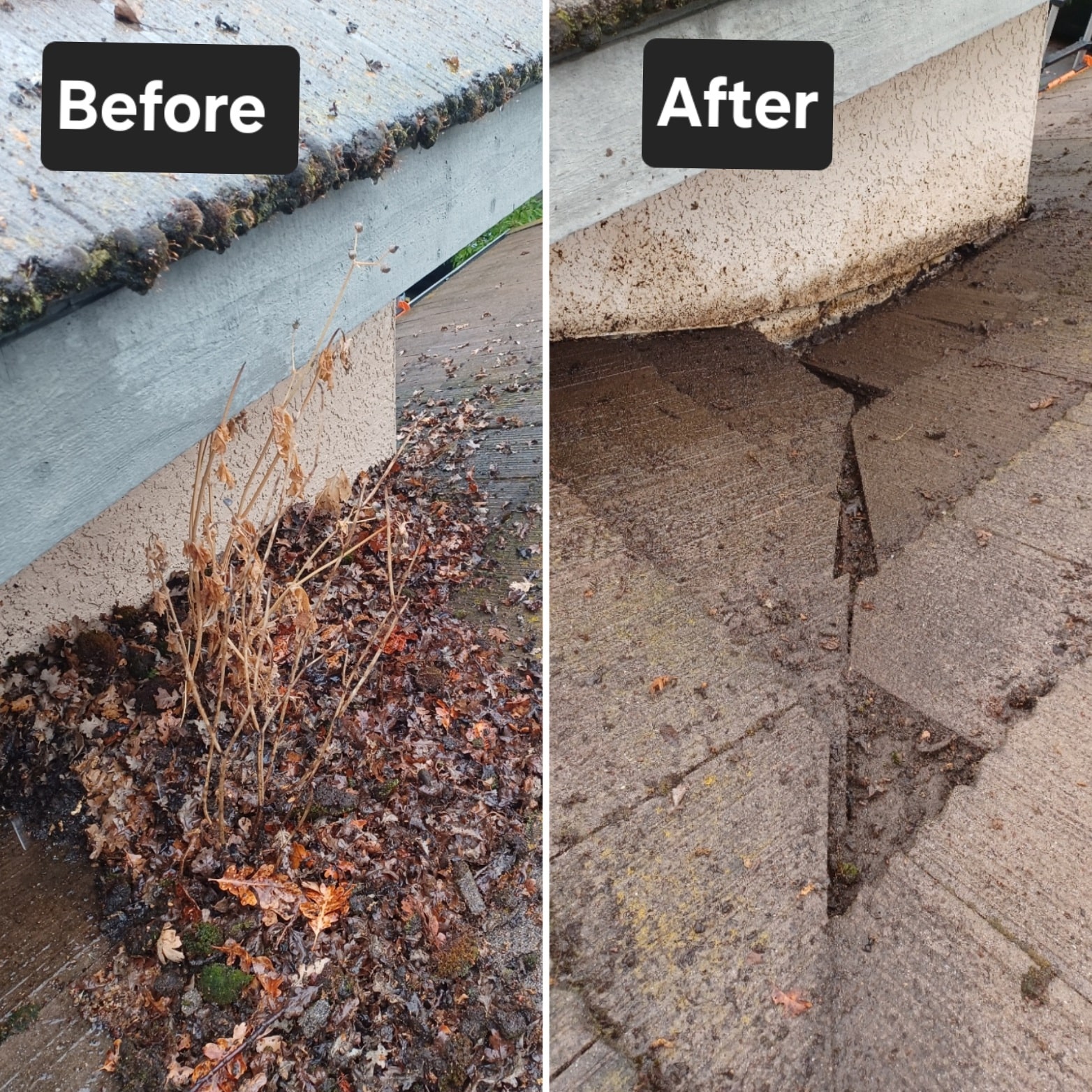 Before and after gutter cleaning in Fair Oaks